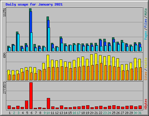 Daily usage for January 2021