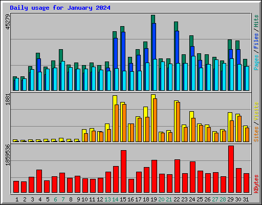 Daily usage for January 2024