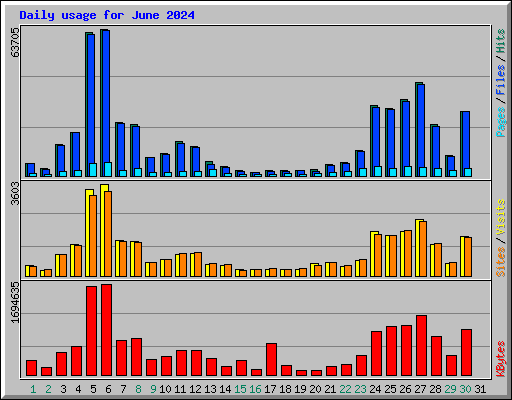 Daily usage for June 2024
