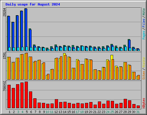 Daily usage for August 2024