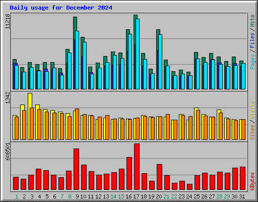 Daily usage for December 2024