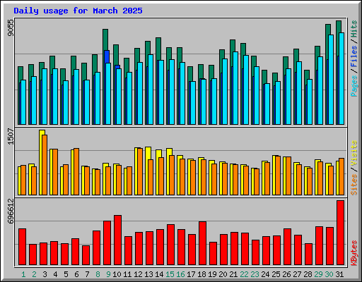 Daily usage for March 2025