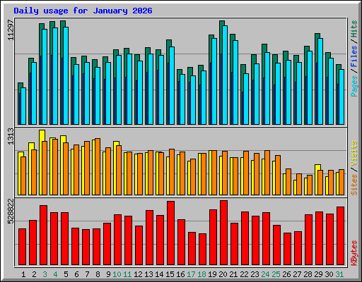 Daily usage for January 2026