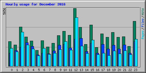 Hourly usage for December 2016
