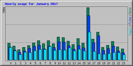 Hourly usage for January 2017