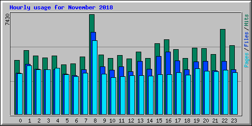Hourly usage for November 2018