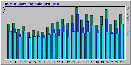 Hourly usage for February 2019
