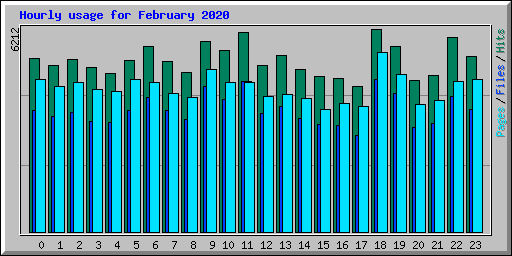 Hourly usage for February 2020