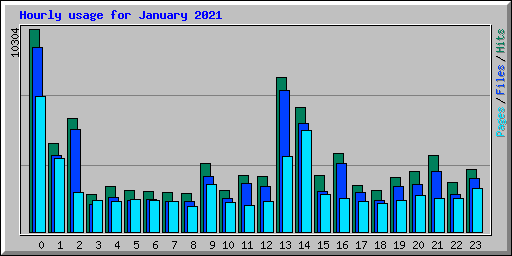 Hourly usage for January 2021