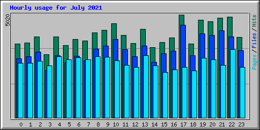 Hourly usage for July 2021