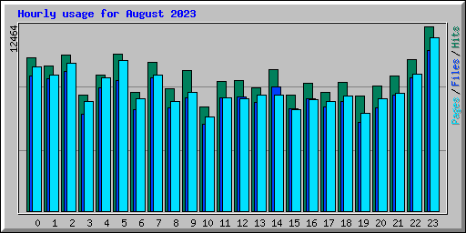 Hourly usage for August 2023