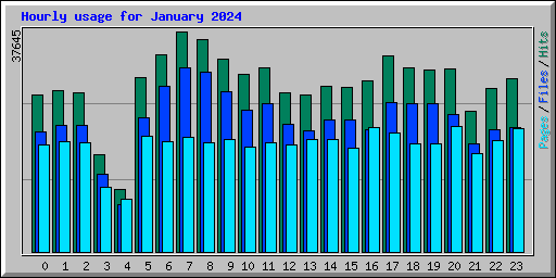 Hourly usage for January 2024