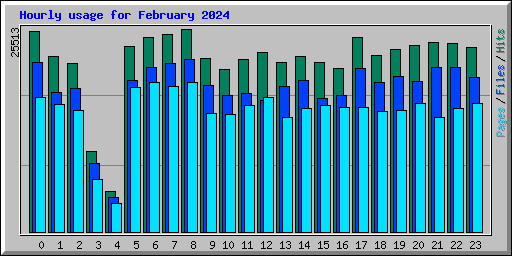 Hourly usage for February 2024