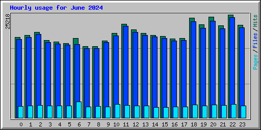 Hourly usage for June 2024