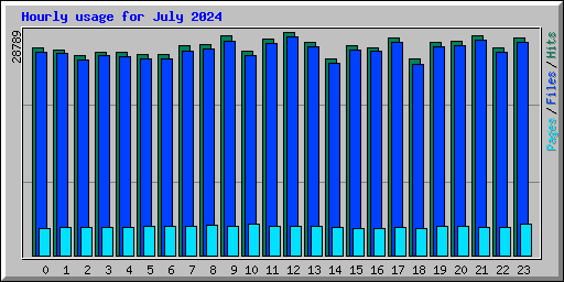 Hourly usage for July 2024