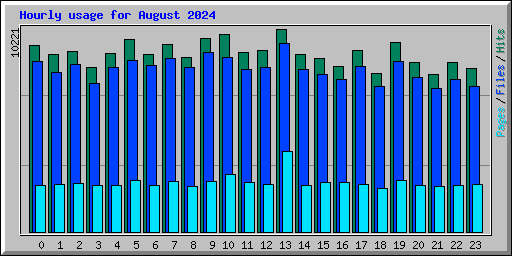 Hourly usage for August 2024