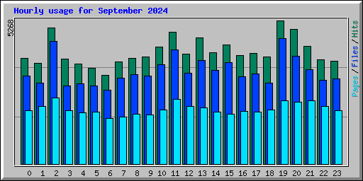 Hourly usage for September 2024