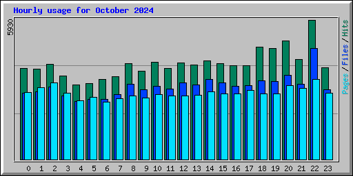 Hourly usage for October 2024