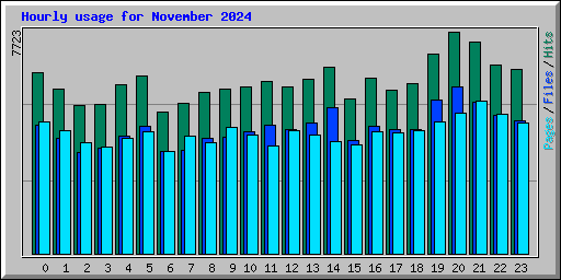 Hourly usage for November 2024