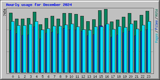 Hourly usage for December 2024