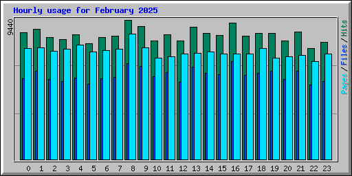 Hourly usage for February 2025