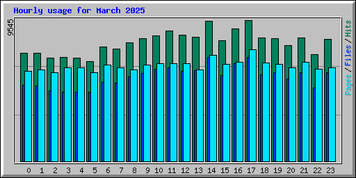 Hourly usage for March 2025