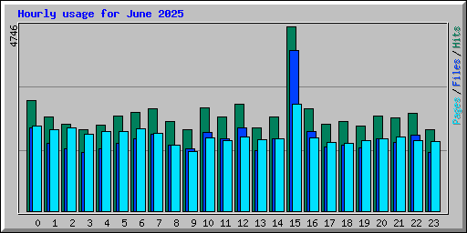 Hourly usage for June 2025