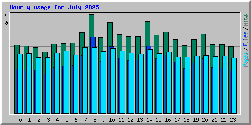 Hourly usage for July 2025