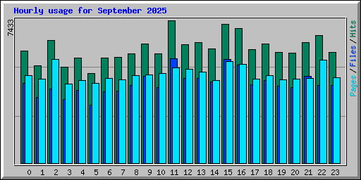 Hourly usage for September 2025