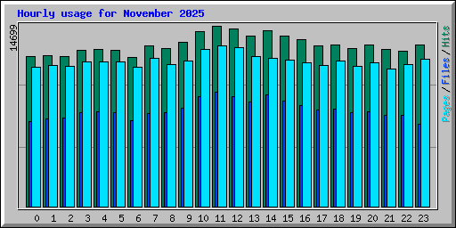 Hourly usage for November 2025