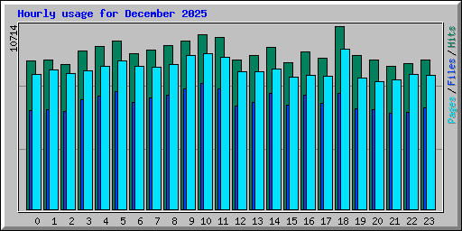 Hourly usage for December 2025