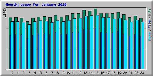 Hourly usage for January 2026