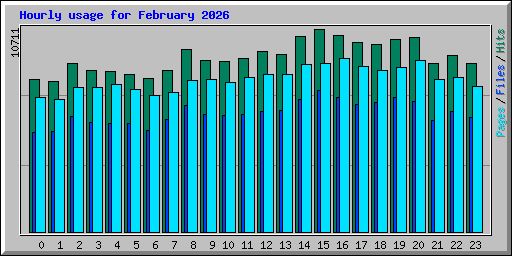 Hourly usage for February 2026