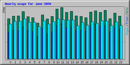 Hourly usage for June 2026