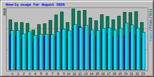 Hourly usage for August 2026