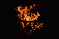 DSCF4248